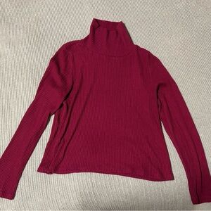 Aritzia The Group Babaton Turtleneck Sweater